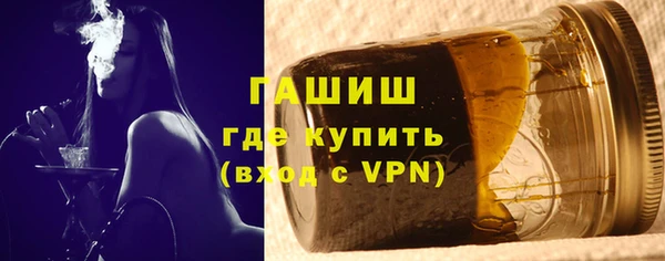 индика Новозыбков