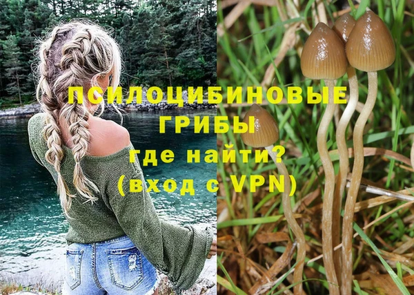 бошки Алзамай